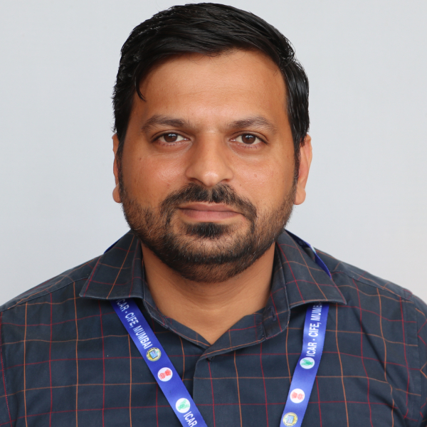 Mr. Surender Mr. Surender